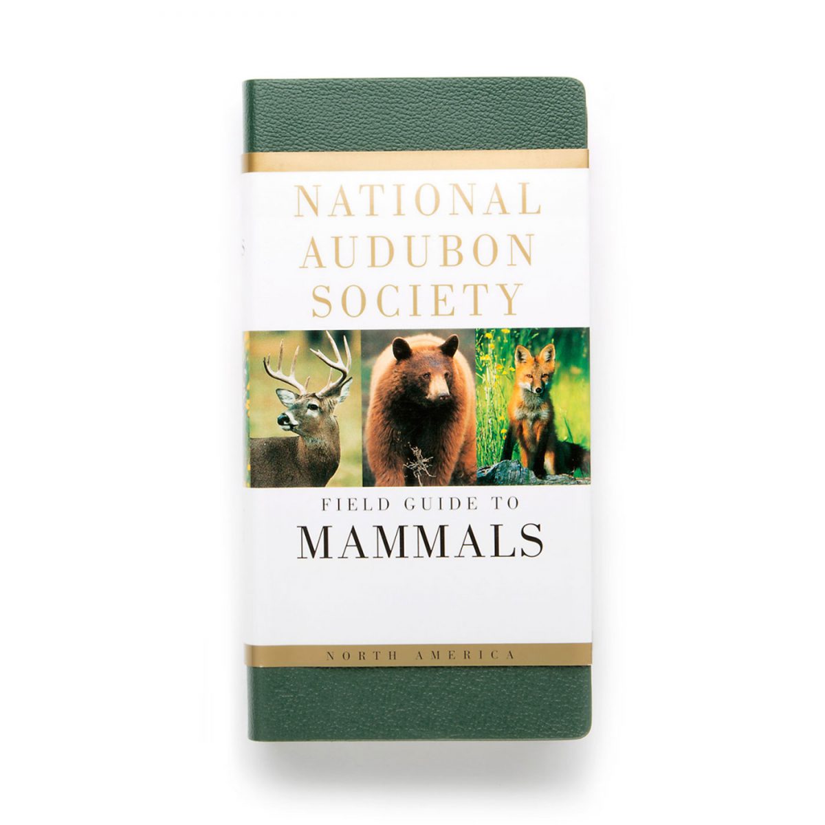 Audubon Field Guide Series